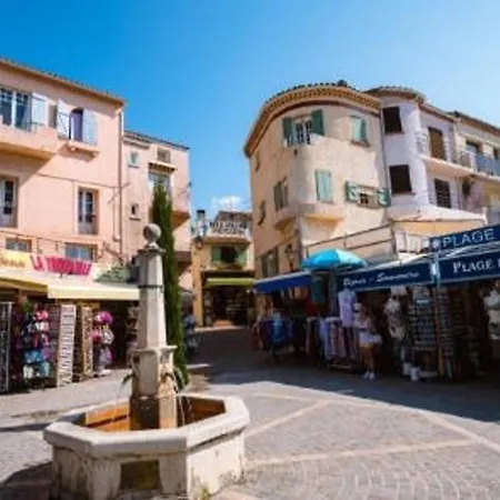 2 Pieces Avec Grande Terrasse Au Coeur Du Lavandou - Fr-1-251-287 Apartment *
